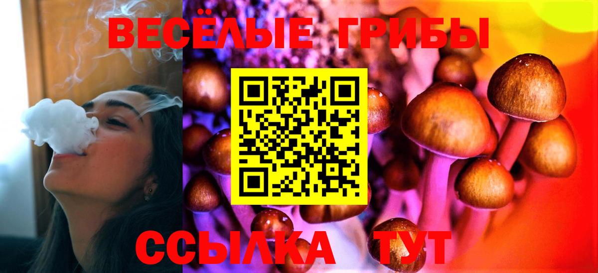 Черняховск  Псилоцибиновые грибы мухоморы  Галлюциногенные грибы Magic Shrooms  как найти закладки  Вход с VPN 